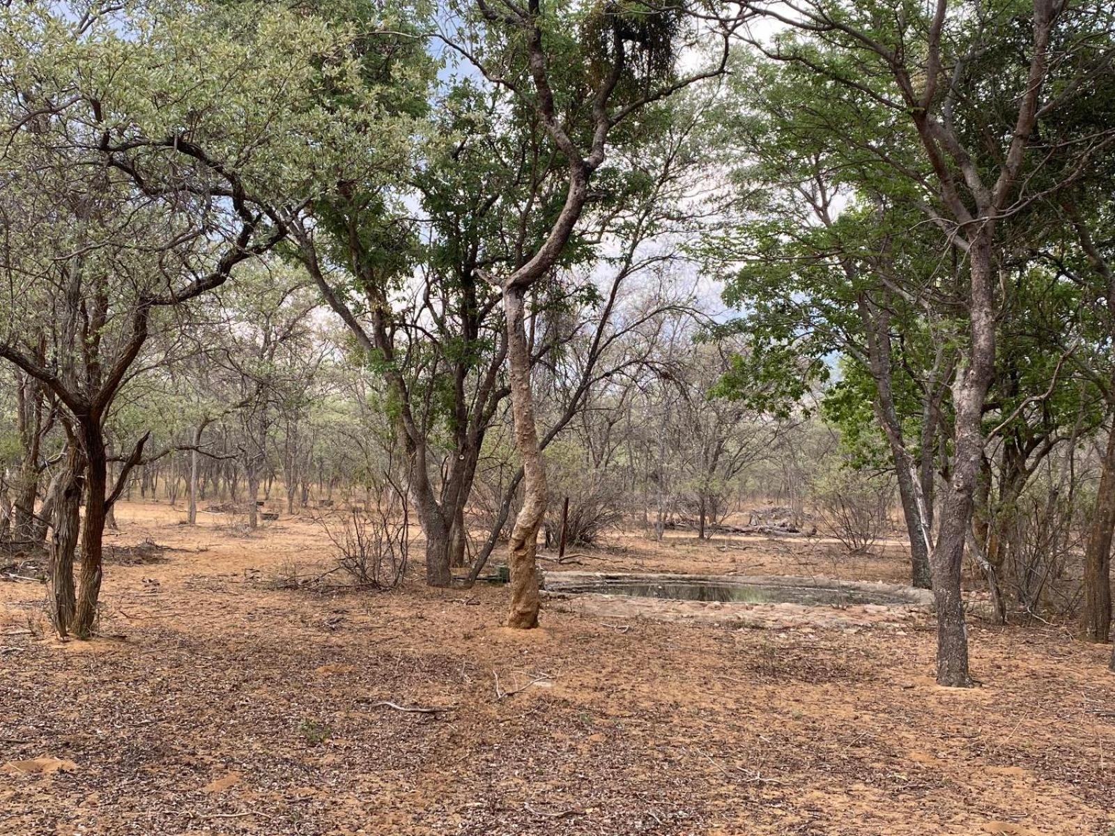 ואלווטר Kigeni Safari Lodge & Spa חדר תמונה