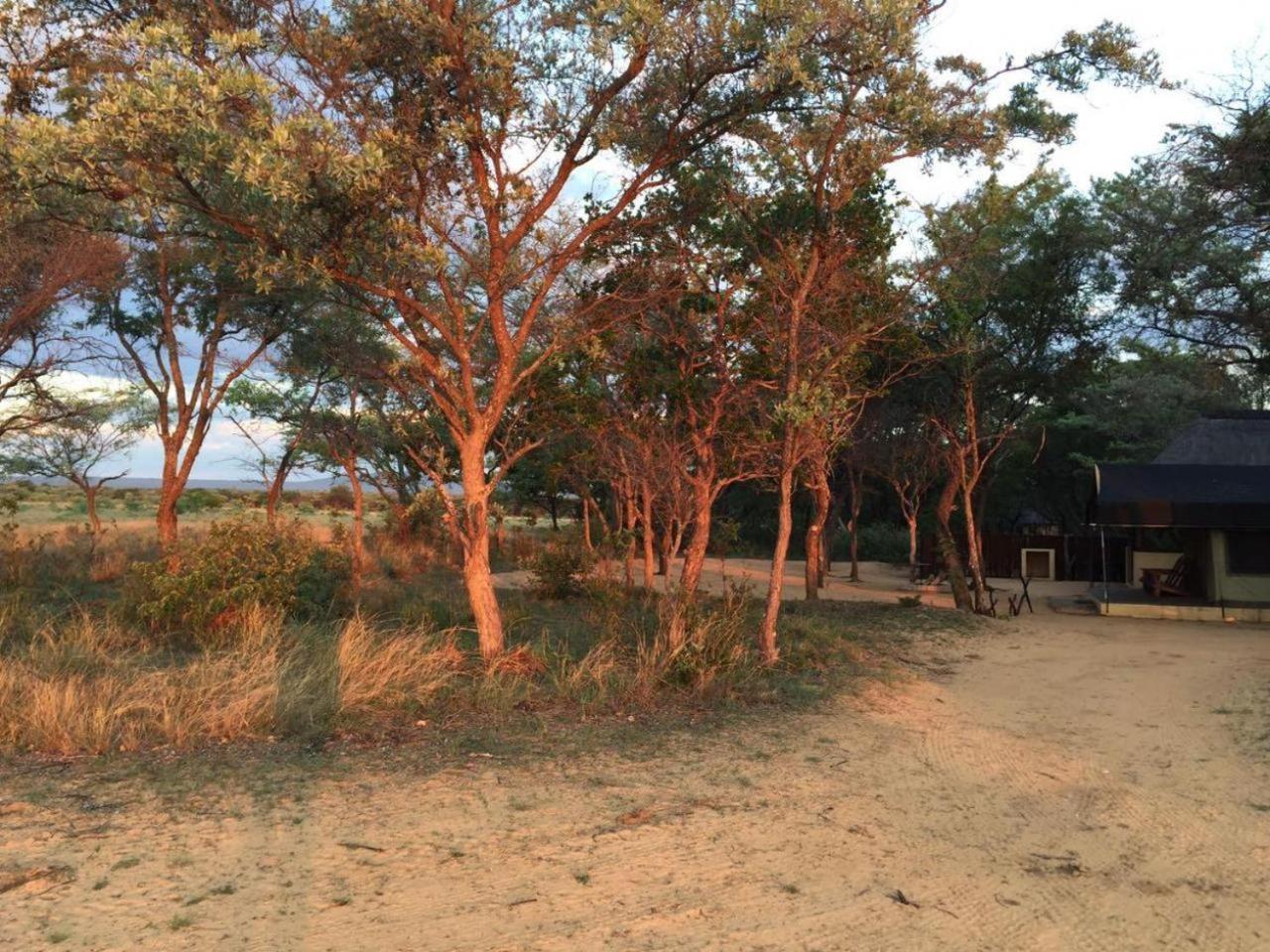 ואלווטר Kigeni Safari Lodge & Spa מראה חיצוני תמונה